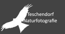 Teschendorf Naturfotografie